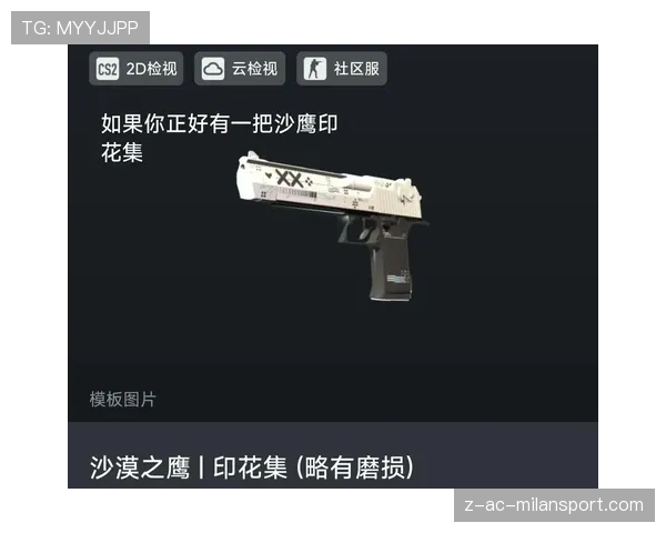 CS2皮肤印花大赛:这组四连贴纸简直是武器的灵魂💎(393 ) CS2皮肤印花大赛:这组四连贴纸简直是武器的灵魂💎(393 )